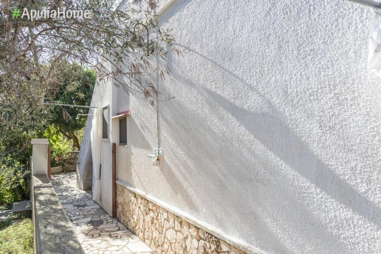 Villetta Camelia, Torre Pali, Con Piscina Exteriér fotografie